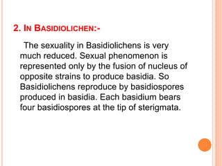 2. IN BASIDIOLICHEN:-
The sexuality in Basidiolichens is very
much reduced. Sexual phenomenon is
represented only by the fusion of nucleus of
opposite strains to produce basidia. So
Basidiolichens reproduce by basidiospores
produced in basidia. Each basidium bears
four basidiospores at the tip of sterigmata.
 