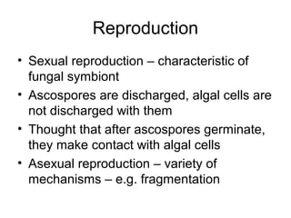Reproduction
• Sexual reproduction – characteristic of
fungal symbiont
• Ascospores are discharged, algal cells are
not discharged with them
• Thought that after ascospores germinate,
they make contact with algal cells
• Asexual reproduction – variety of
mechanisms – e.g. fragmentation
 