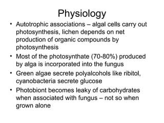 Physiology
• Autotrophic associations – algal cells carry out
photosynthesis, lichen depends on net
production of organic compounds by
photosynthesis
• Most of the photosynthate (70-80%) produced
by alga is incorporated into the fungus
• Green algae secrete polyalcohols like ribitol,
cyanobacteria secrete glucose
• Photobiont becomes leaky of carbohydrates
when associated with fungus – not so when
grown alone
 