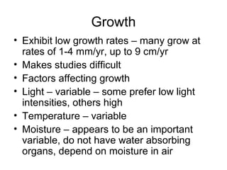 Growth
• Exhibit low growth rates – many grow at
rates of 1-4 mm/yr, up to 9 cm/yr
• Makes studies difficult
• Factors affecting growth
• Light – variable – some prefer low light
intensities, others high
• Temperature – variable
• Moisture – appears to be an important
variable, do not have water absorbing
organs, depend on moisture in air
 