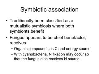 Symbiotic association
• Traditionally been classified as a
mutualistic symbiosis where both
symbionts benefit
• Fungus appears to be chief benefactor,
receives
– Organic compounds as C and energy source
– With cyanobacteria, N fixation may occur so
that the fungus also receives N source
 