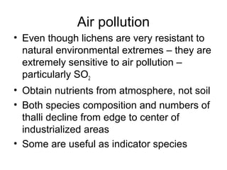 Air pollution
• Even though lichens are very resistant to
natural environmental extremes – they are
extremely sensitive to air pollution –
particularly SO2
• Obtain nutrients from atmosphere, not soil
• Both species composition and numbers of
thalli decline from edge to center of
industrialized areas
• Some are useful as indicator species
 