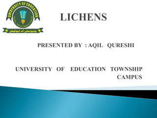 PRESENTED BY : AQIL QURESHI
UNIVERSITY OF EDUCATION TOWNSHIP
CAMPUS
 