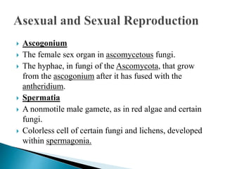 Ascogonium
 The female sex organ in ascomycetous fungi.
 The hyphae, in fungi of the Ascomycota, that grow
from the ascogonium after it has fused with the
antheridium.
 Spermatia
 A nonmotile male gamete, as in red algae and certain
fungi.
 Colorless cell of certain fungi and lichens, developed
within spermagonia.
 