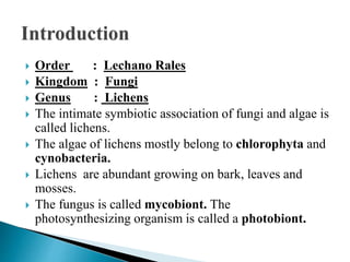  Order : Lechano Rales
 Kingdom : Fungi
 Genus : Lichens
 The intimate symbiotic association of fungi and algae is
called lichens.
 The algae of lichens mostly belong to chlorophyta and
cynobacteria.
 Lichens are abundant growing on bark, leaves and
mosses.
 The fungus is called mycobiont. The
photosynthesizing organism is called a photobiont.
 