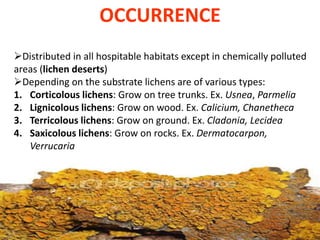 Lichens | PPTX