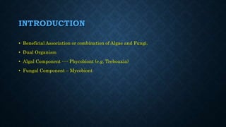INTRODUCTION
• Beneficial Association or combination of Algae and Fungi.
• Dual Organism
• Algal Component ---- Phycobiont (e.g. Trebouxia)
• Fungal Component – Mycobiont
 
