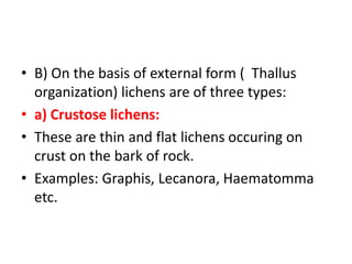 • B) On the basis of external form ( Thallus
organization) lichens are of three types:
• a) Crustose lichens:
• These are thin and flat lichens occuring on
crust on the bark of rock.
• Examples: Graphis, Lecanora, Haematomma
etc.
 