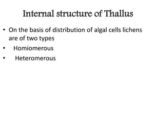 Internal structure of Thallus
• On the basis of distribution of algal cells lichens
are of two types
• Homiomerous
• Heteromerous
 