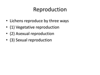 Reproduction
• Lichens reproduce by three ways
• (1) Vegetative reproduction
• (2) Asexual reproduction
• (3) Sexual reproduction
 