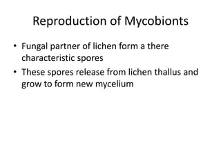 Reproduction of Mycobionts
• Fungal partner of lichen form a there
characteristic spores
• These spores release from lichen thallus and
grow to form new mycelium
 