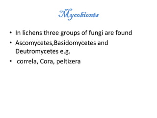 Mycobionts
• In lichens three groups of fungi are found
• Ascomycetes,Basidomycetes and
Deutromycetes e.g.
• correla, Cora, peltizera
 