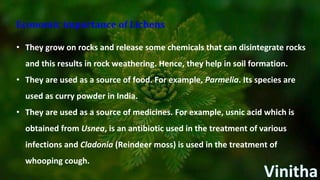 Economic importance of Lichens
• They grow on rocks and release some chemicals that can disintegrate rocks
and this results in rock weathering. Hence, they help in soil formation.
• They are used as a source of food. For example, Parmelia. Its species are
used as curry powder in India.
• They are used as a source of medicines. For example, usnic acid which is
obtained from Usnea, is an antibiotic used in the treatment of various
infections and Cladonia (Reindeer moss) is used in the treatment of
whooping cough.
 
