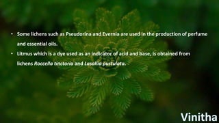 • Some lichens such as Pseudorina and Evernia are used in the production of perfume
and essential oils.
• Litmus which is a dye used as an indicator of acid and base, is obtained from
lichens Roccella tinctoria and Lasallia pustulata.
 