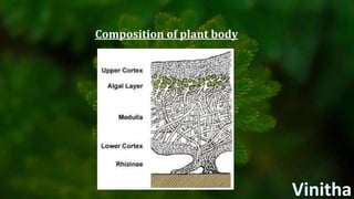 Composition of plant body
 