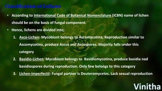 Classification of Lichens
• According to International Code of Botanical Nomenclature (ICBN) name of lichen
should be on the basis of fungal component.
• Hence, lichens are divided into;
1. Asco-Lichen: Mycobiont belongs to Ascomycotina, Reproduction similar to
Ascomycotina, produce Ascus and Ascospores. Majority falls under this
category
2. Basidio-Lichen: Mycobiont belongs to Basidiomycotina, produce basidia nad
basidiospores during reproduction. Only few belongs to this category
3. Lichen-imperfectii: Fungal partner is Deuteromycetes. Lack sexual reproduction
 