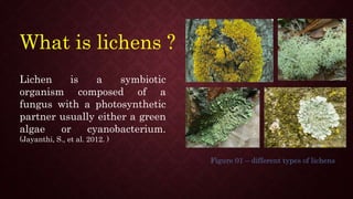 What is lichens ?
Figure 01 – different types of lichens
Lichen is a symbiotic
organism composed of a
fungus with a photosynthetic
partner usually either a green
algae or cyanobacterium.
(Jayanthi, S., et al. 2012. )
 