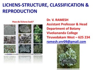 Dr. V. RAMESH
Assistant Professor & Head
Department of Botany
Vivekananda College
Tiruvedakam West – 625 234
ramesh.vnr09@gmail.com
LICHENS-STRUCTURE, CLASSIFICATION &
REPRODUCTION
 