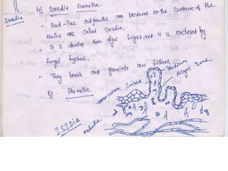 Lichens   sturcture, classification and reproduction