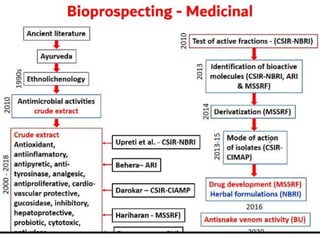 Lichens   sturcture, classification and reproduction