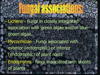 – Lichens - Fungi in closely integrated
association with green algae and/or blue-
green algae.
– Mycorrhizae - Fungi associated with
exterior (ectotrophic) or interior
(endotrophic) of plant roots
– Endophytes - fungi associated with shoots
of plants
 