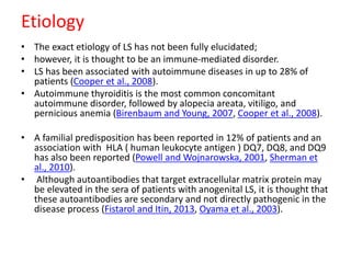 Etiology
• The exact etiology of LS has not been fully elucidated;
• however, it is thought to be an immune-mediated disorder.
• LS has been associated with autoimmune diseases in up to 28% of
patients (Cooper et al., 2008).
• Autoimmune thyroiditis is the most common concomitant
autoimmune disorder, followed by alopecia areata, vitiligo, and
pernicious anemia (Birenbaum and Young, 2007, Cooper et al., 2008).
• A familial predisposition has been reported in 12% of patients and an
association with HLA ( human leukocyte antigen ) DQ7, DQ8, and DQ9
has also been reported (Powell and Wojnarowska, 2001, Sherman et
al., 2010).
• Although autoantibodies that target extracellular matrix protein may
be elevated in the sera of patients with anogenital LS, it is thought that
these autoantibodies are secondary and not directly pathogenic in the
disease process (Fistarol and Itin, 2013, Oyama et al., 2003).
 