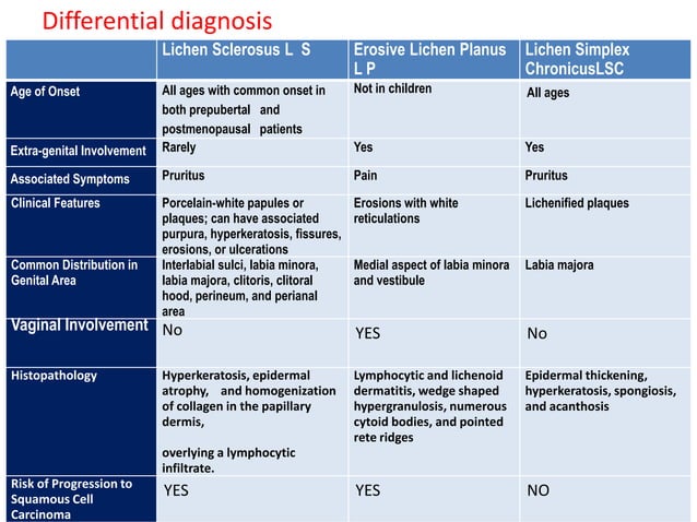 Lichen Sclerosis of Vulva | PPT