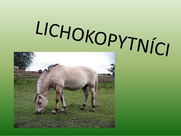 Lichokopytníci