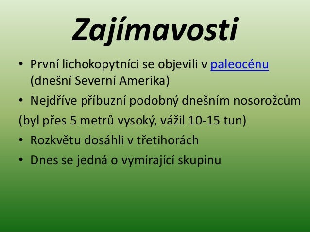 Lichokopytníci