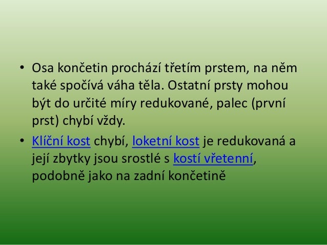 Lichokopytníci