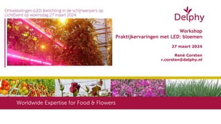 Workshop
Praktijkervaringen met LED: bloemen
27 maart 2024
René Corsten
r.corsten@delphy.nl
 