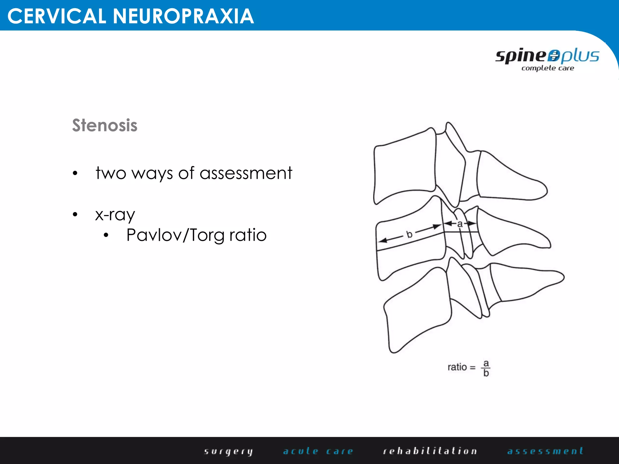Guidelines for return to sport after cervical trauma | PDF