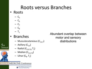Roots versus Branches
• Roots
– C5
– C6
– C7
– C8
– T1
• Branches
– Musculocutaneous (C5,6,7)
– Axillary (C5,6)
– Radial (C5,6,7,8, T1)
– Median (C5,6,7,8)
– Ulnar (C8, T1)
Abundant overlap between
motor and sensory
distributions
 