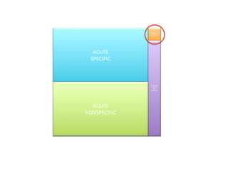 CHRONIC	
  
SPECIFIC	
  
ACUTE	
  
SPECIFIC	
  
CHRONIC	
  
NON	
  
SPECIFIC	
  
ACUTE	
  
NONSPECIFIC	
  
 