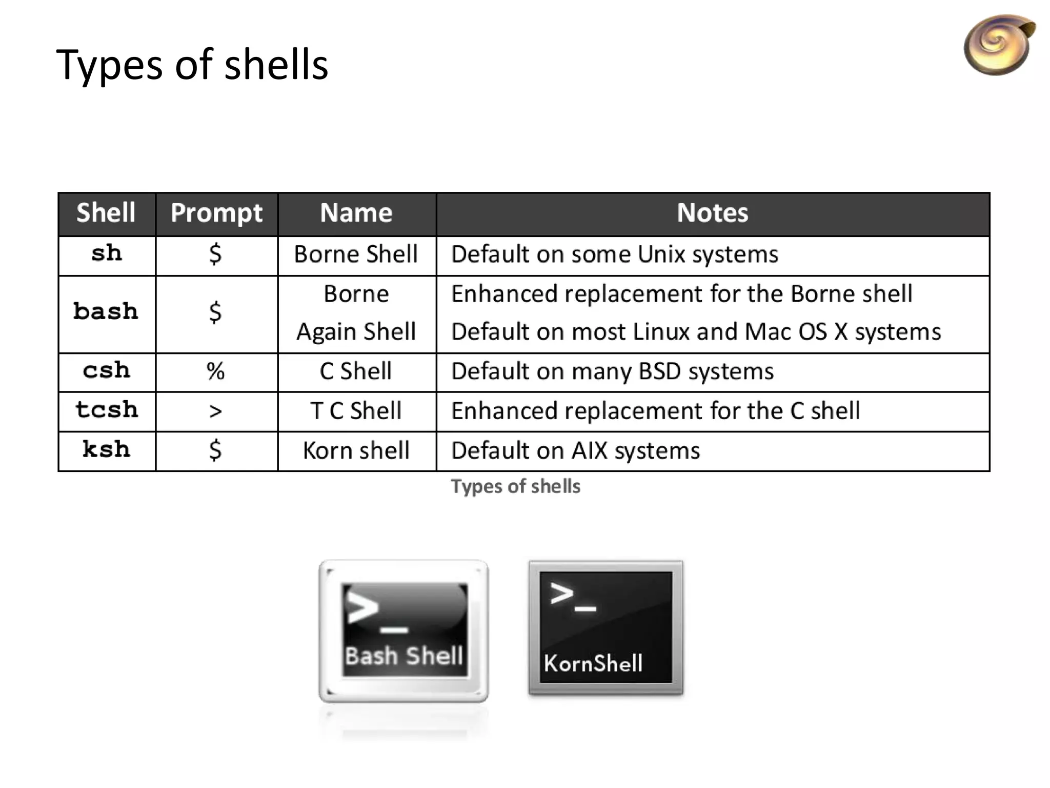Types of shells
 