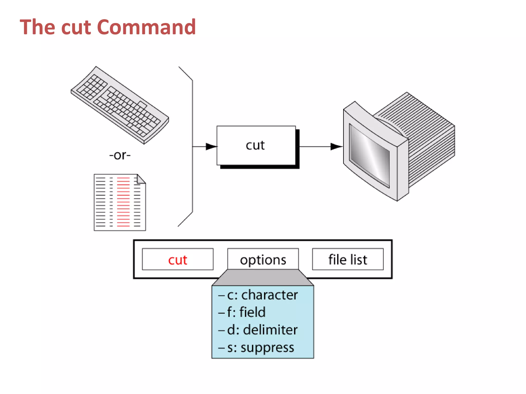 The cut Command
 