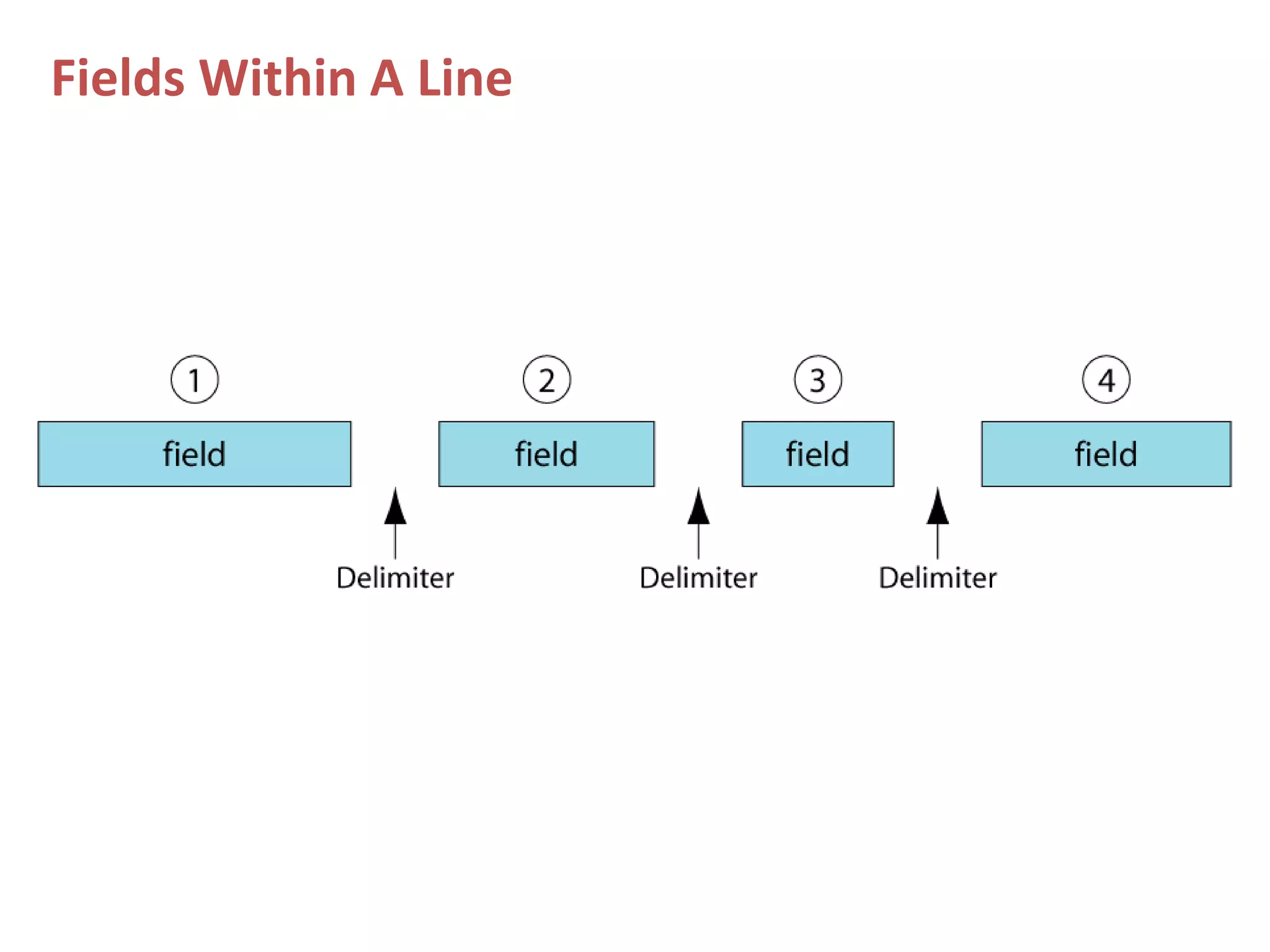 Fields Within A Line
 