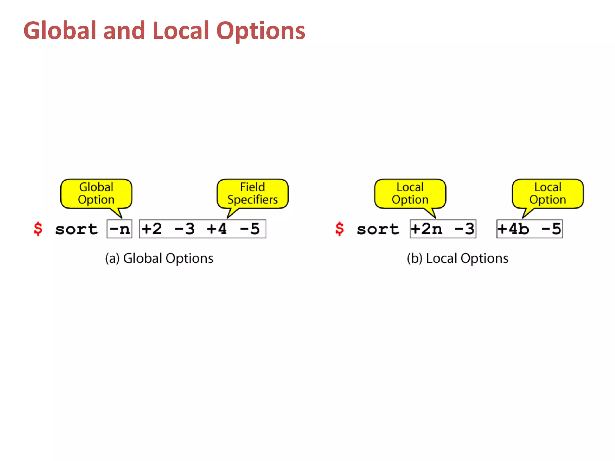Global and Local Options
 