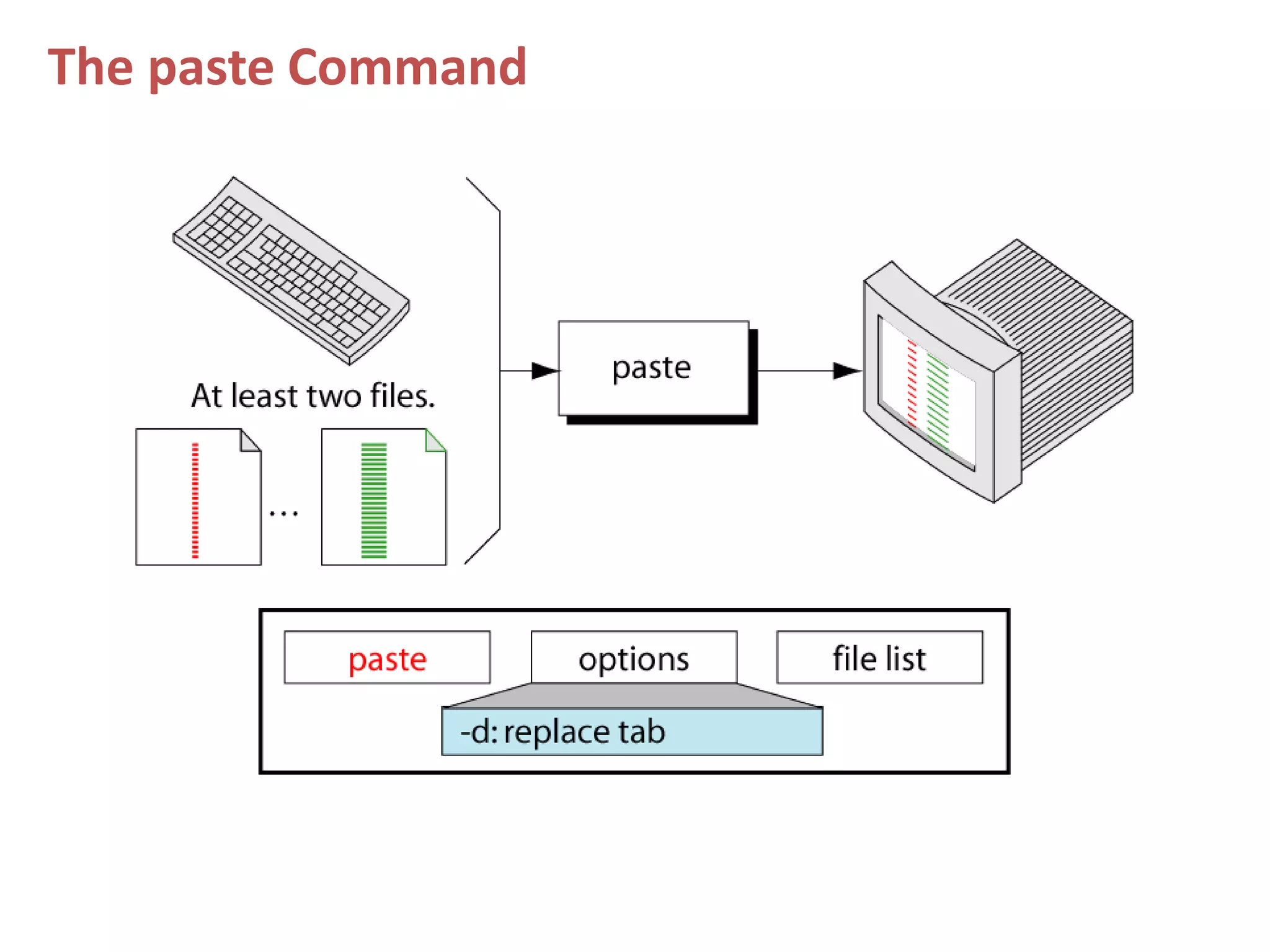 The paste Command
 
