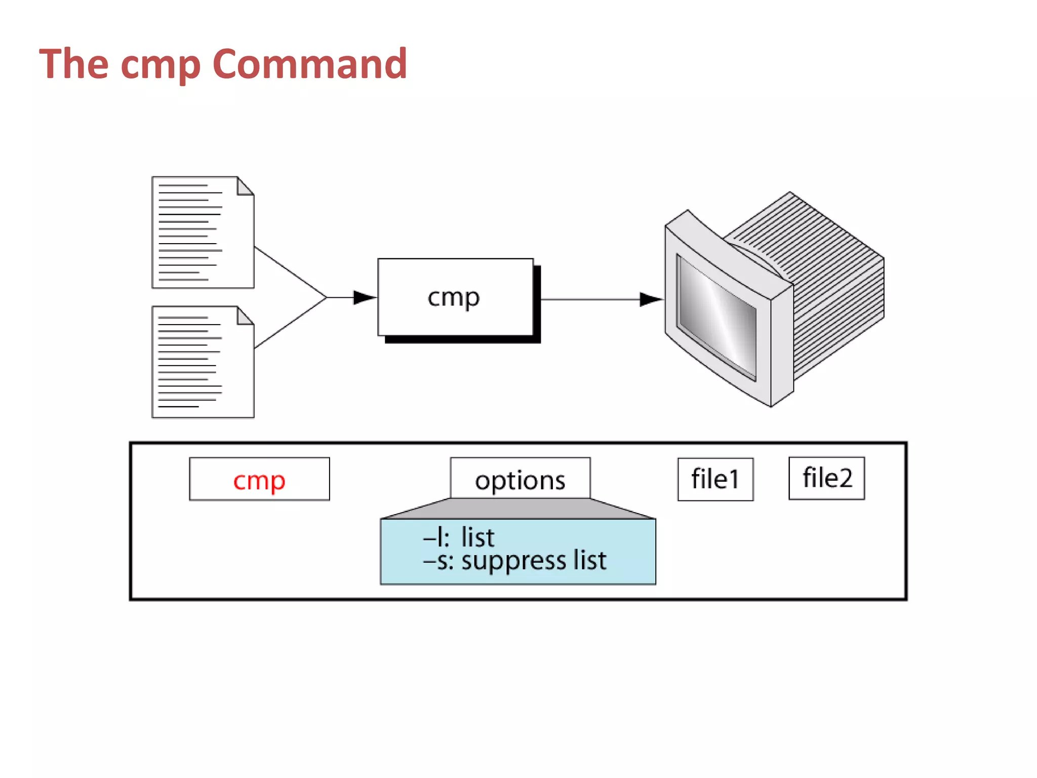 The cmp Command
 