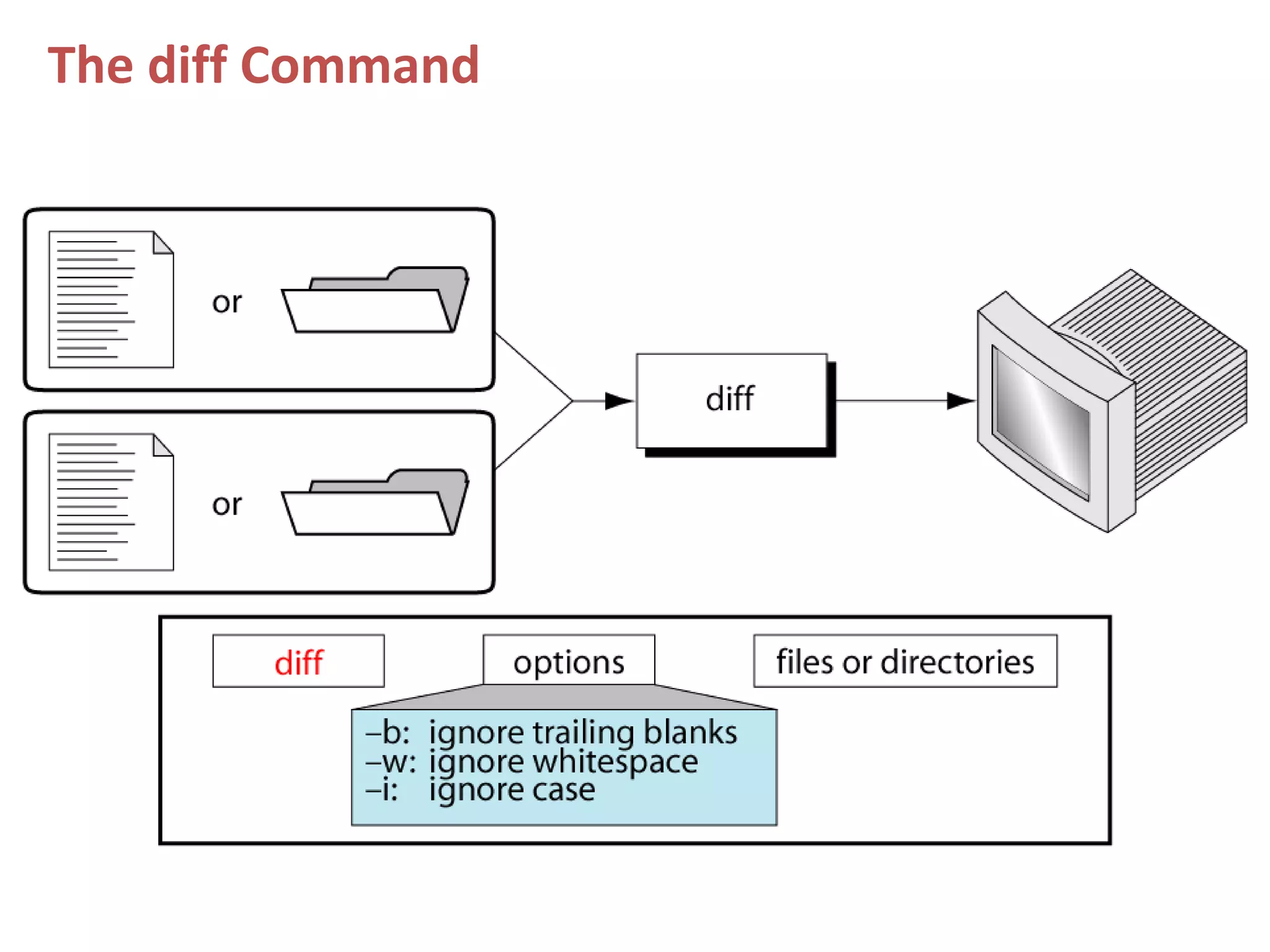 The diff Command
 