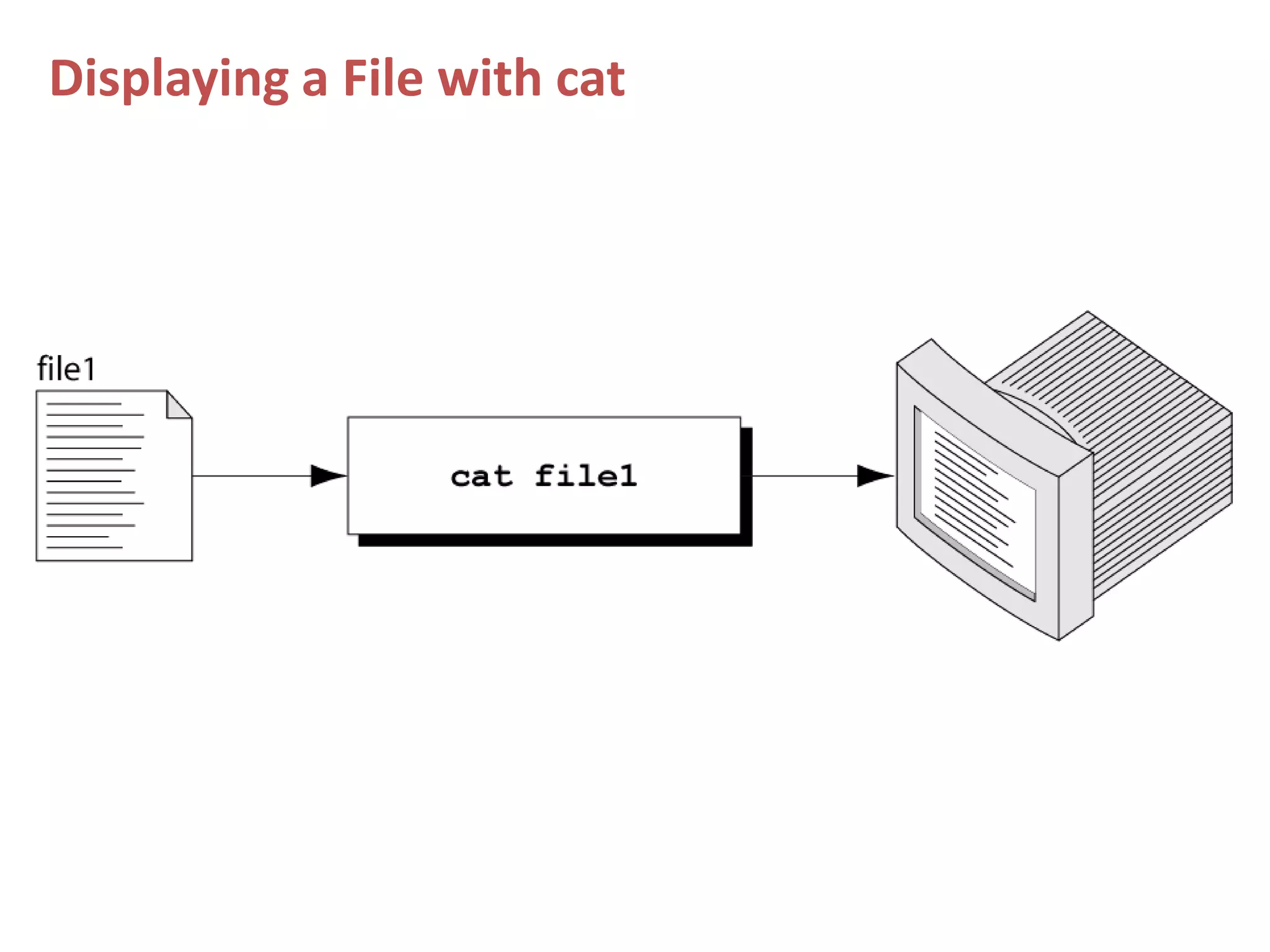 Displaying a File with cat
 