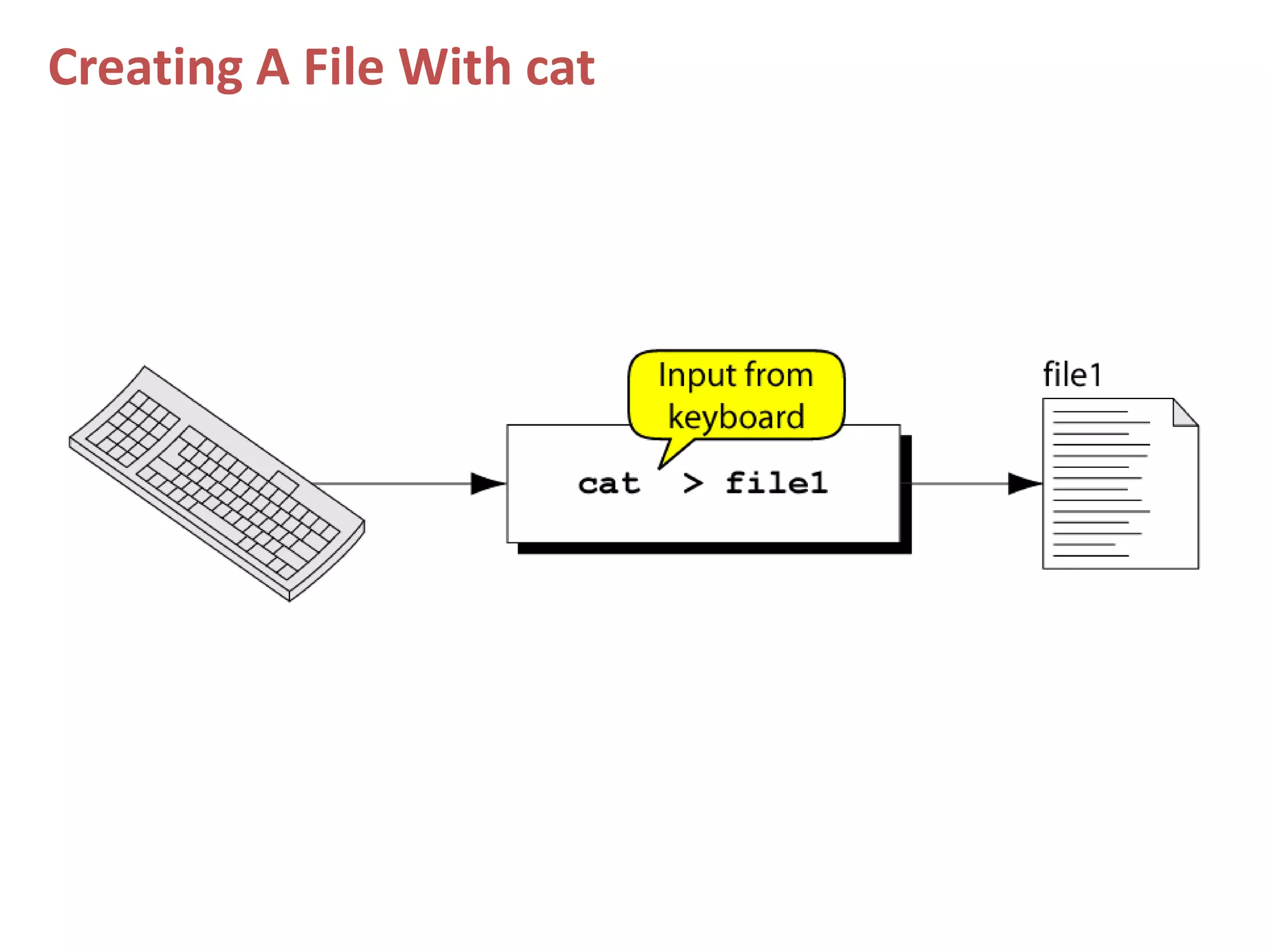 Creating A File With cat
 
