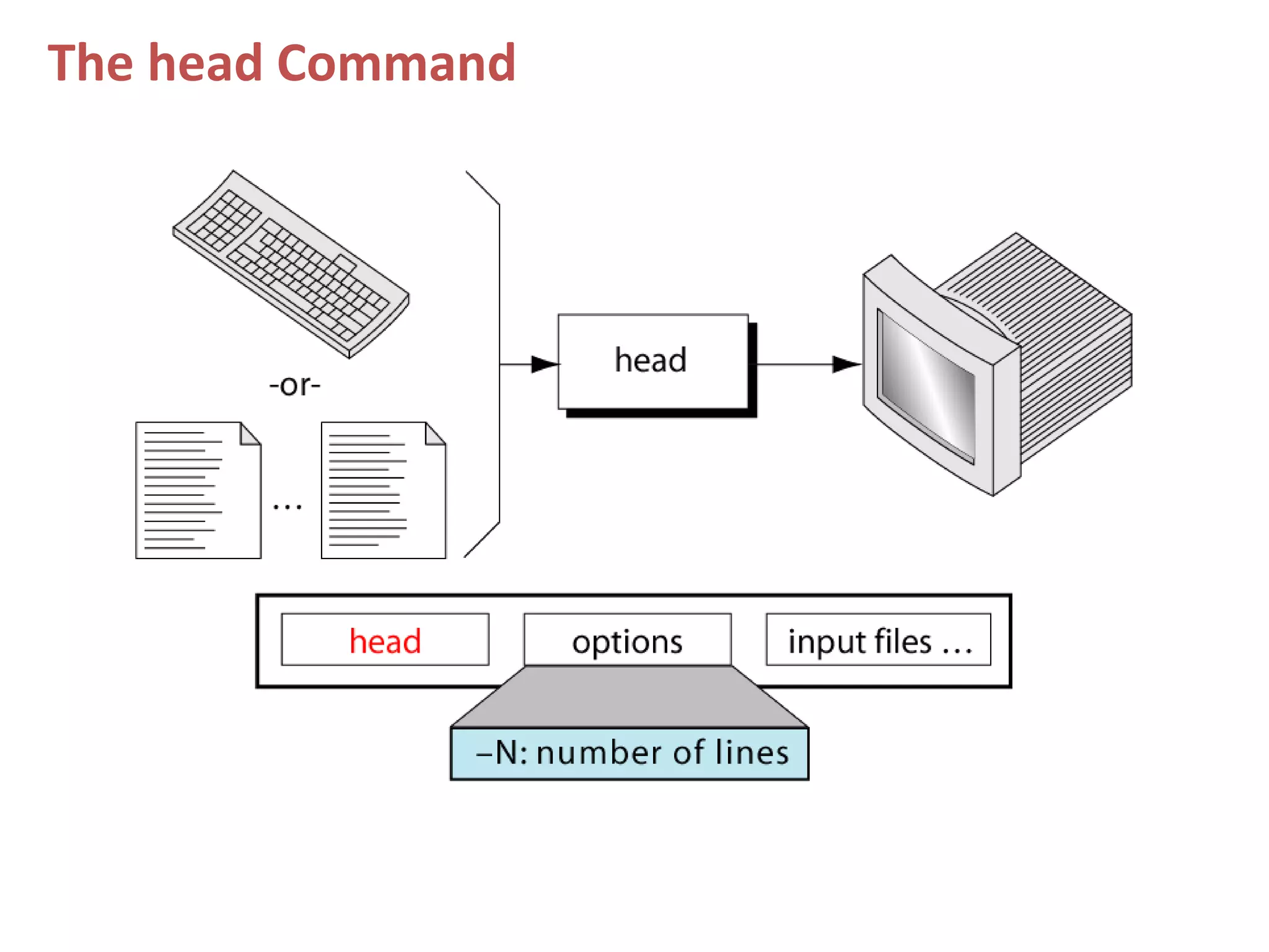 The head Command
 
