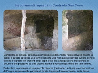 piccolo pozzetto quadrangolare (0,90x0,90x0,60 mt) posto nell’angolo sinistro del vano e con le pareti interne ricoperte da intonaco impermeabilizzante, probabilmente per la conservazione di granaglie o di derrate liquide. Insediamenti rupestri nell’area del Colle BelvedereLa grotta aveva in origine lo spazio davanti all’ingresso coperto da una tettoia lignea, come si evince da alcuni intacchi rettangolari ancora visibili sulla parete rocciosa al di sopra dell’ingresso e che dovevano sostenere le travi della copertura pensile. La grotta presenta delle regolarità: pianta rettangolare, accesso sul lato breve, lungo l’asse dell’antica trazzera che attraversava il pianoro;