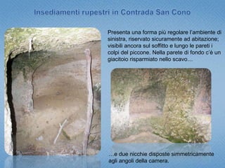 soffitto piano leggermente degradante verso l’innesto delle pareti e la presenza di una o più grandi nicchie, che richiamano i broccali delle case rurali medievali. Insediamenti rupestri in Contrada San Conoingresso di forma rettangolare (1,80x0,70 mt), regolarizzato con muratura in gesso e pietre che immette in un grande ambiente articolato in due zone distinte da un setto divisorio, in asse con l’ingresso, che parte dal fondo della grotta ricavato risparmiando la roccia dall’escavazione;