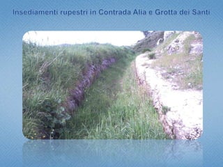 Insediamenti rupestri in Contrada San ConoL’ambiente di sinistra, di forma più irregolare e dimensioni ridotte doveva essere la stalla: a questo specifico uso fanno pensare una mangiatoia ricavata sul lato corto di sinistra e i grossi fori presenti sugli stipiti dove era alloggiata una staccionata di chiusura che poggiava su una piccola quinta di roccia risparmiata sul lato sinistro. Particolare la presenza di una piccola cisterna (profonda 1 mt) per la conservazione dell’acqua ricavata nella parente di fondo di questo locale annesso, sulla destra.