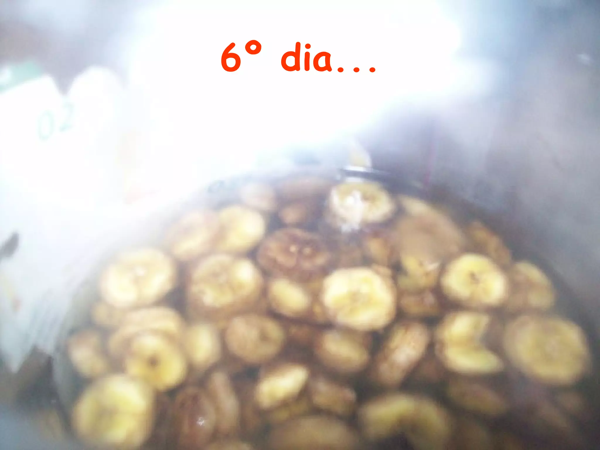 6º dia...