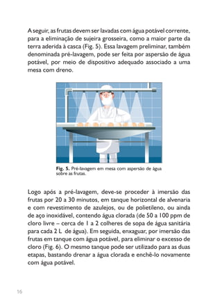 A seguir, as frutas devem ser lavadas com água potável corrente,
para a eliminação de sujeira grosseira, como a maior parte da
terra aderida à casca (Fig. 5). Essa lavagem preliminar, também
denominada pré-lavagem, pode ser feita por aspersão de água
potável, por meio de dispositivo adequado associado a uma
mesa com dreno.
Logo após a pré-lavagem, deve-se proceder à imersão das
frutas por 20 a 30 minutos, em tanque horizontal de alvenaria
e com revestimento de azulejos, ou de polietileno, ou ainda
de aço inoxidável, contendo água clorada (de 50 a 100 ppm de
cloro livre – cerca de 1 a 2 colheres de sopa de água sanitária
para cada 2 L de água). Em seguida, enxaguar, por imersão das
frutas em tanque com água potável, para eliminar o excesso de
cloro (Fig. 6). O mesmo tanque pode ser utilizado para as duas
etapas, bastando drenar a água clorada e enchê-lo novamente
com água potável.
Fig. 5. Pré-lavagem em mesa com aspersão de água
sobre as frutas.
16
 