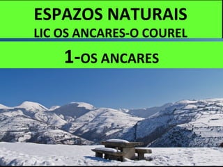 ESPAZOS NATURAIS
LIC OS ANCARES-O COUREL
1-OS ANCARES
 